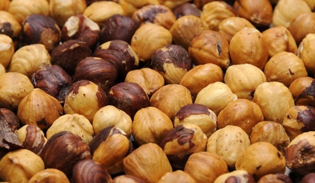 nocciole tostate